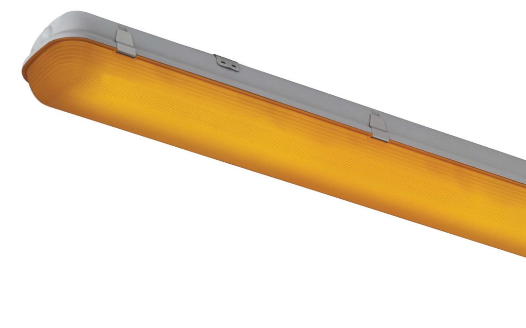 Luminaire pour cave – ET 2194-A LED CAVE