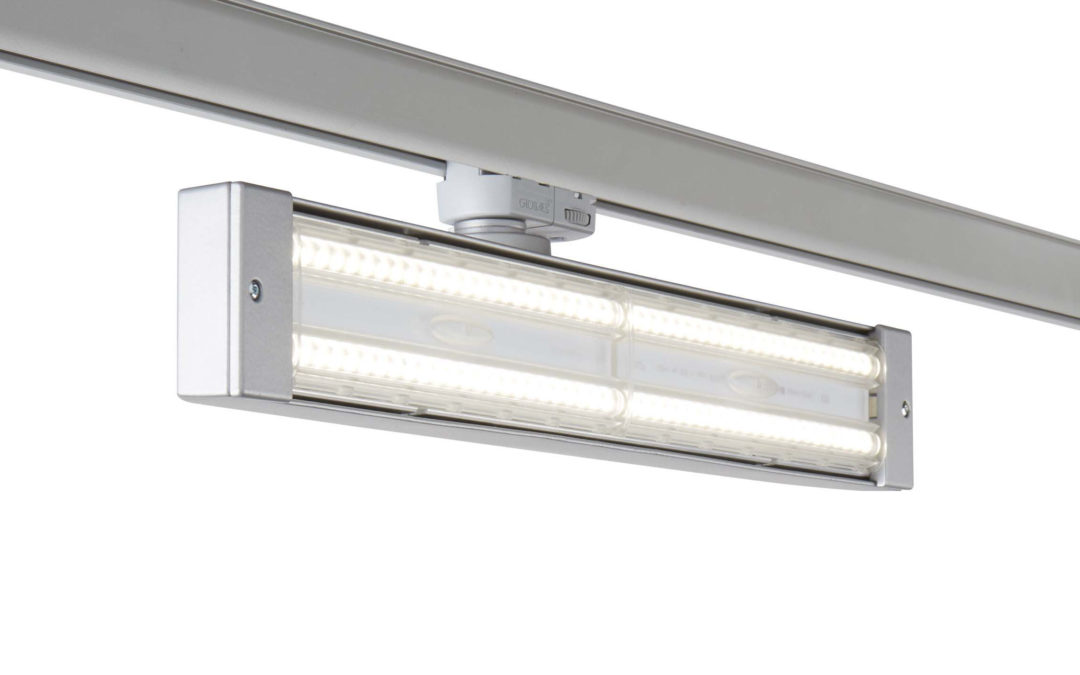 LS 2067 LED