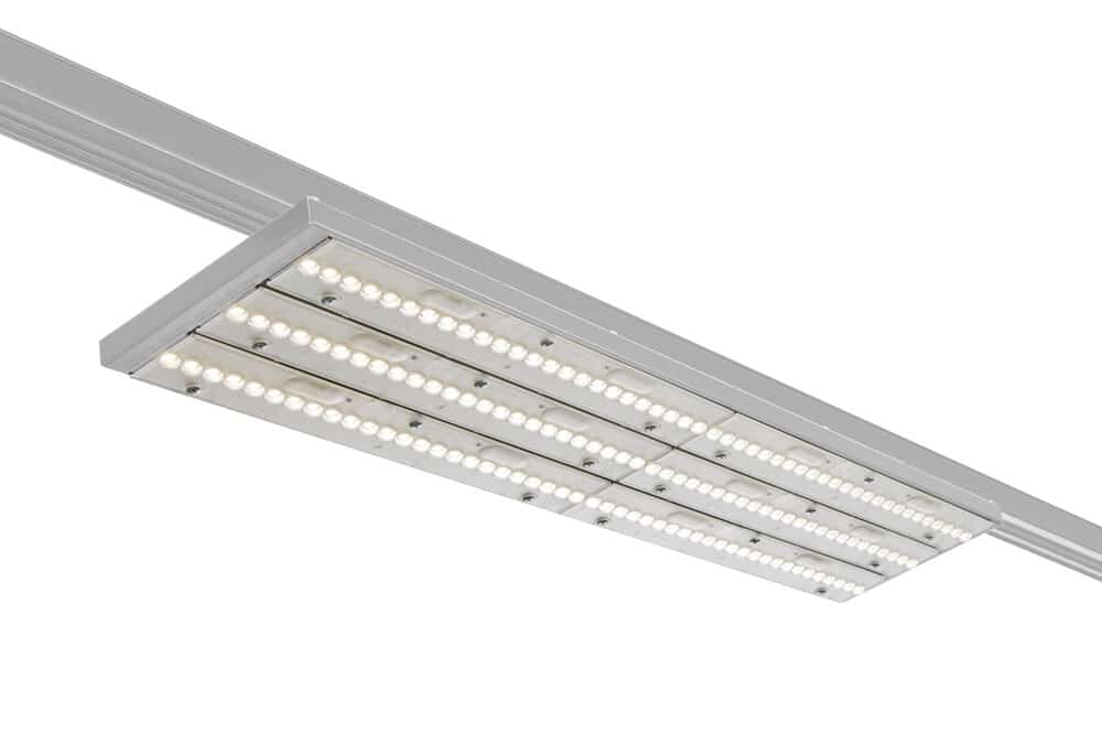 LS 5017-J LED