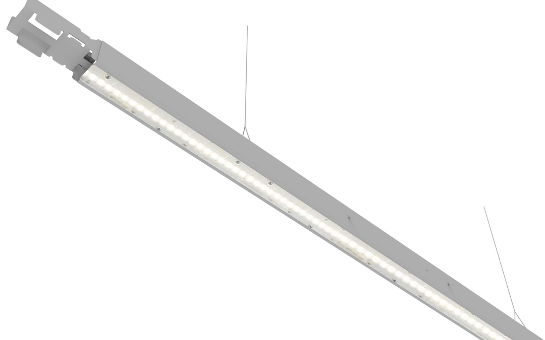 LC 5183
