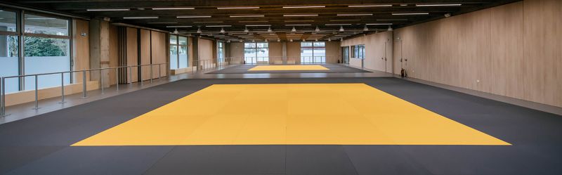TRATO aux J.O 2024 d’escrime et de judo